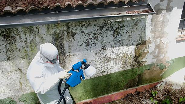 Top rated local Crawl Space Mold Remediation specialists in Woodbridge, VA